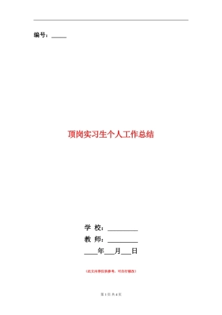 顶岗实习生个人工作总结