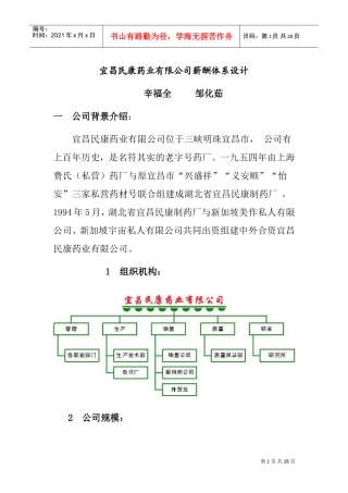 某某药业有限公司薪酬体系设计