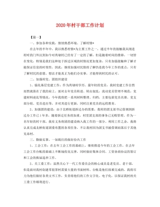 2020年村干部工作计划 