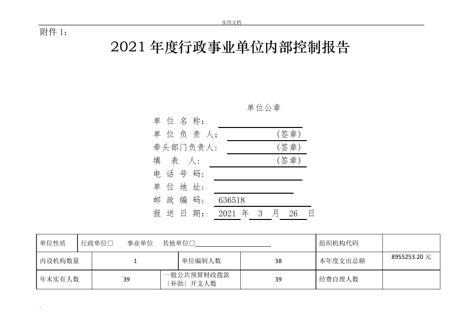 内部控制报告_第1页