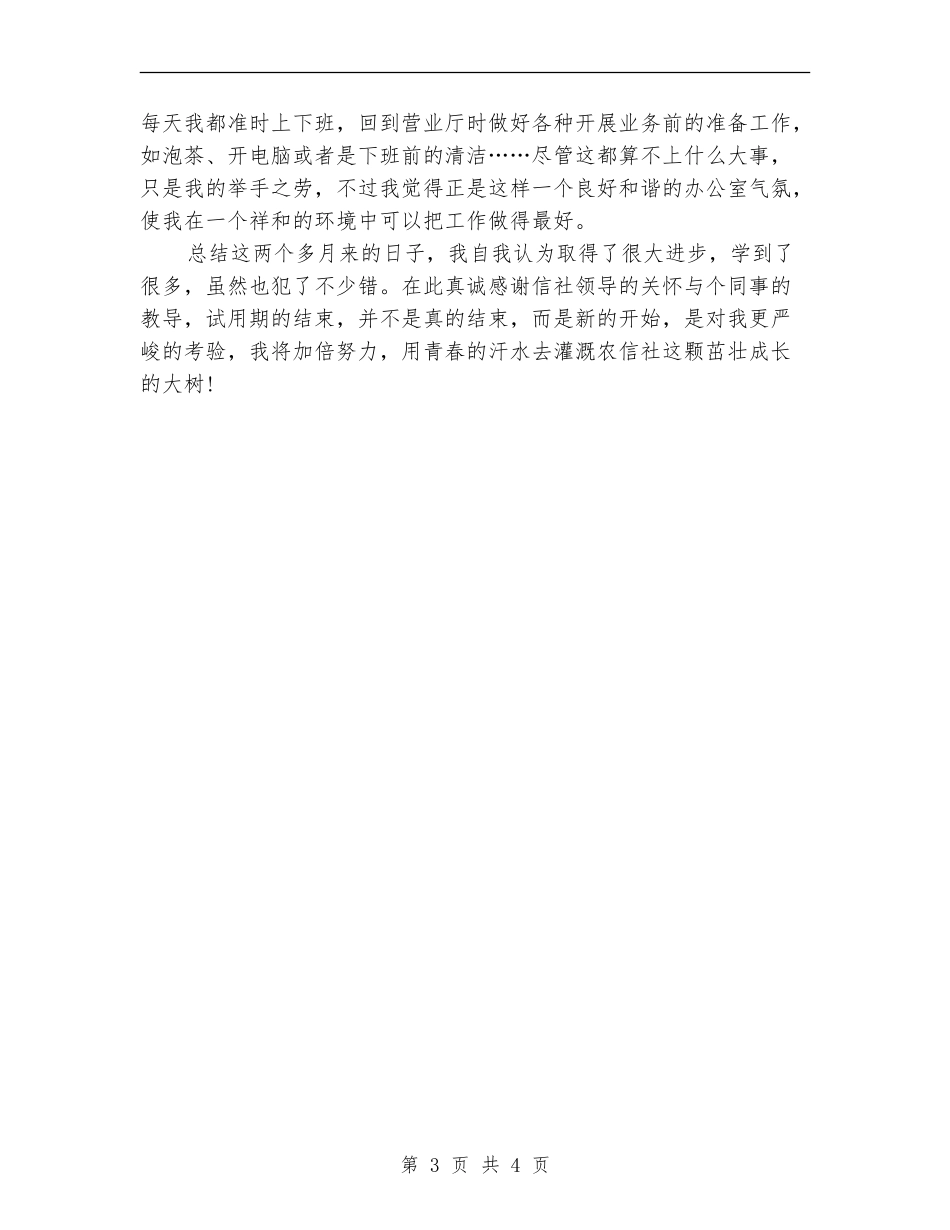 2024年信用社柜员试用期工作总结范文【最新版】_第3页