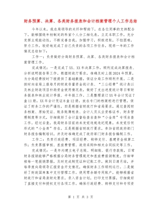 财务预算、决算、各类财务报表和会计档案管理个人工作总结