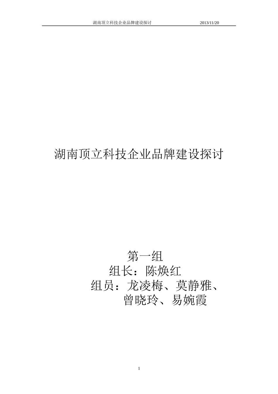 湖南顶立科技公司品牌建设探讨(品牌大作业)_第1页