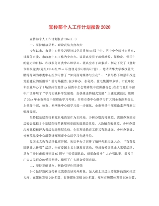 宣传部个人工作计划报告 