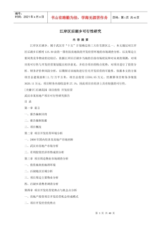 武汉市房地产项目可行性研究报告