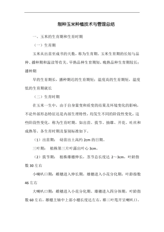 制种玉米种植技术与管理总结