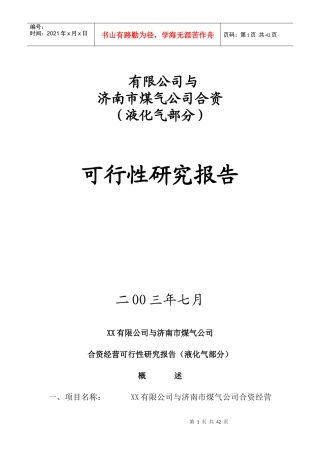 某市煤气公司合资可行性研究报告