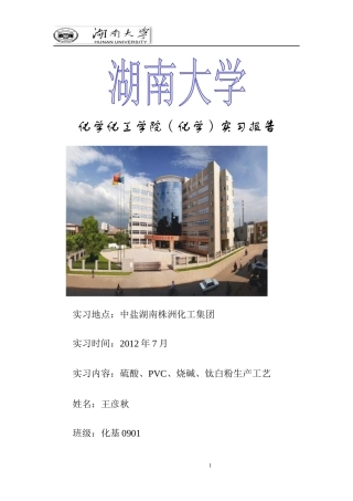 株洲化工厂-实习报告-副本