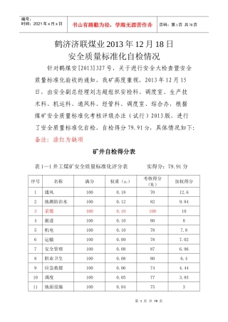 煤业安全质量标准化自检情况