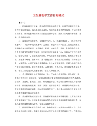 卫生院明年工作计划格式 