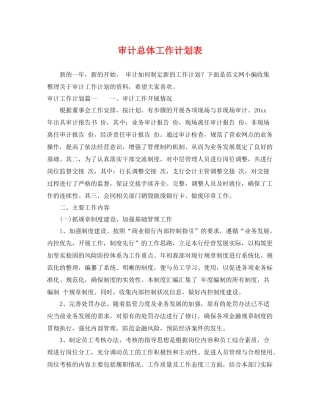 审计总体工作计划表 