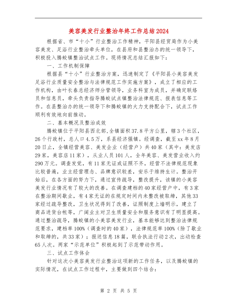 美容美发行业整治年终工作总结2024_第2页