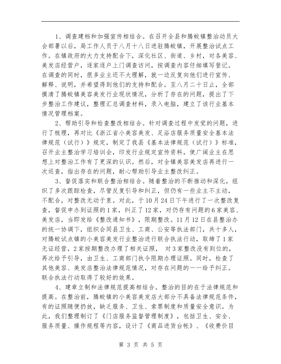 美容美发行业整治年终工作总结2024_第3页