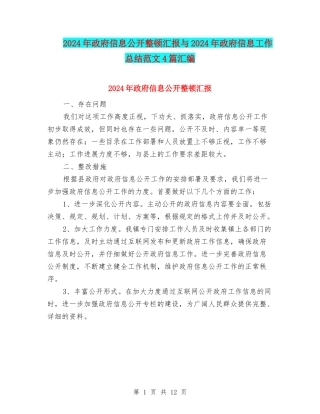 2024年政府信息公开整顿汇报与2024年政府信息工作总结范文4篇汇编