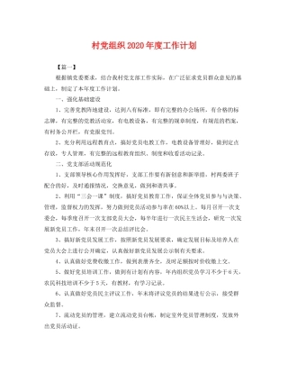村党组织年度工作计划 
