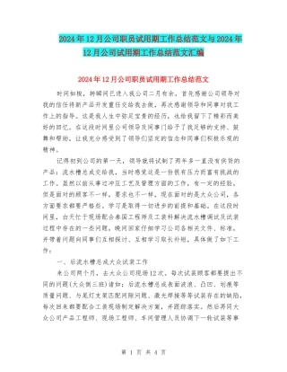 2024年12月公司职员试用期工作总结范文与2024年12月公司试用期工作总结范文汇编