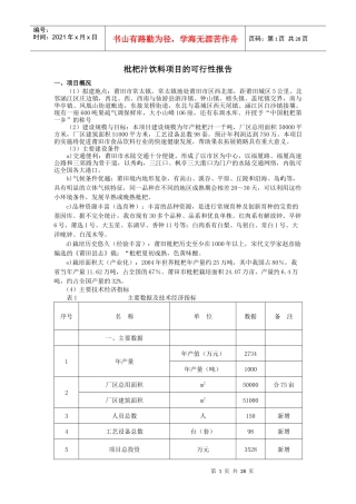 枇杷汁饮料项目的可行性报告范本