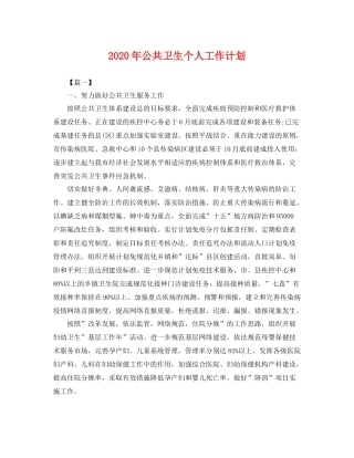 2020年公共卫生个人工作计划 