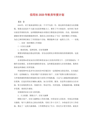 信用社年柜员年度计划 