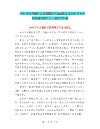 2024年6月新员工试用期工作总结范文与2024年6月明年党支部工作计划范文汇编