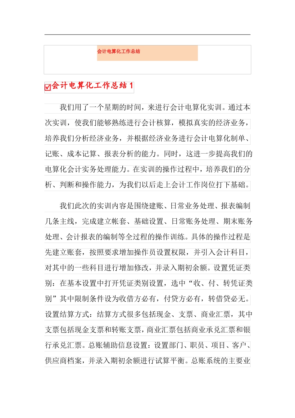 会计电算化工作总结_第1页