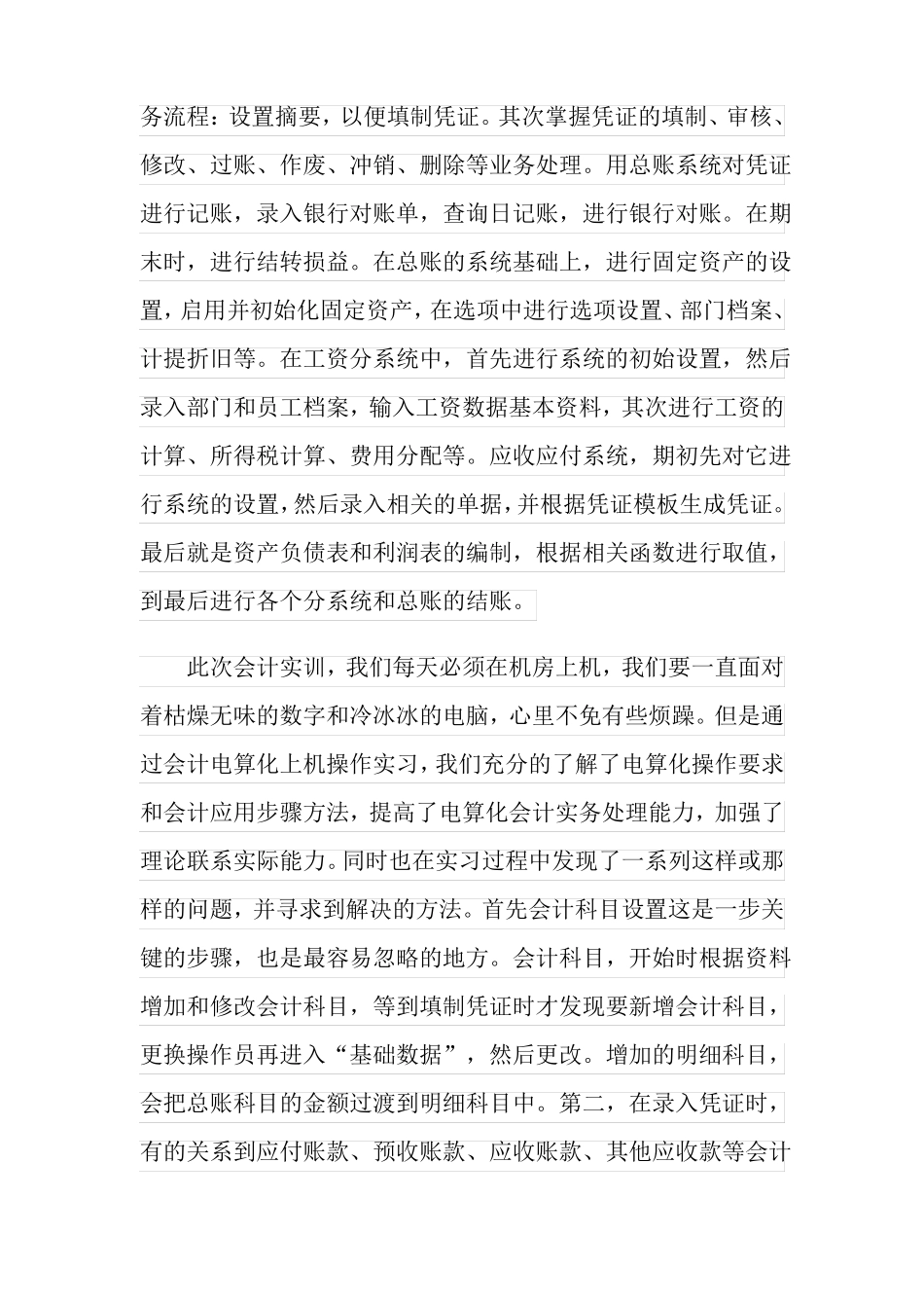会计电算化工作总结_第2页