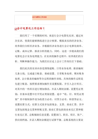 会计电算化工作总结