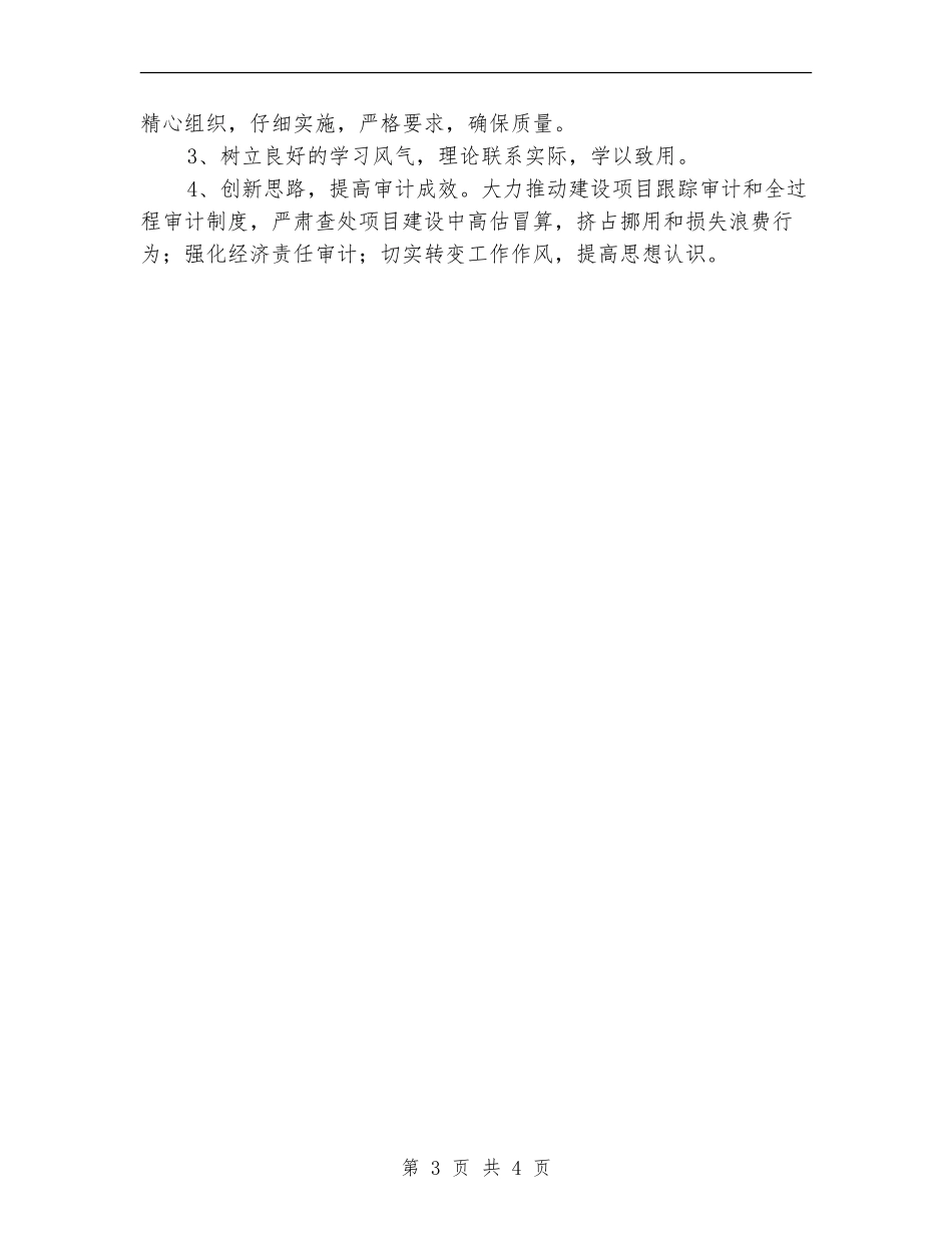 镇委内部审计工作打算_第3页