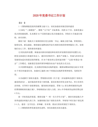 2020年党委书记工作计划 