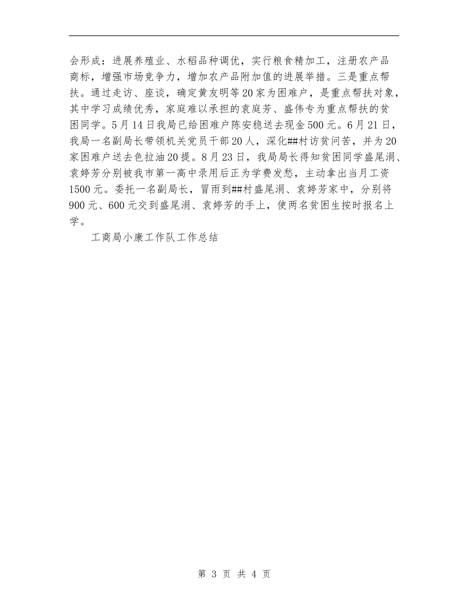 工商局小康工作队工作总结_第3页