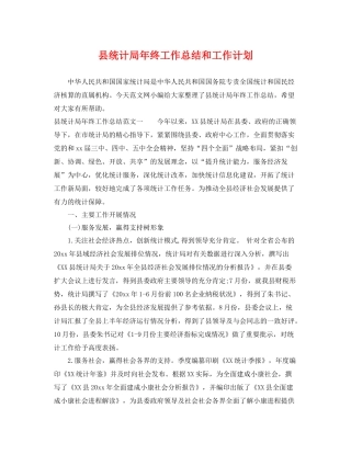 县统计局年终工作总结和工作计划 
