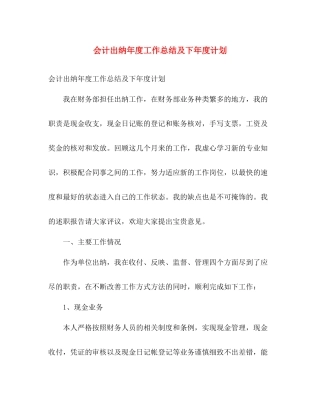 会计出纳年度工作总结及下年度计划 