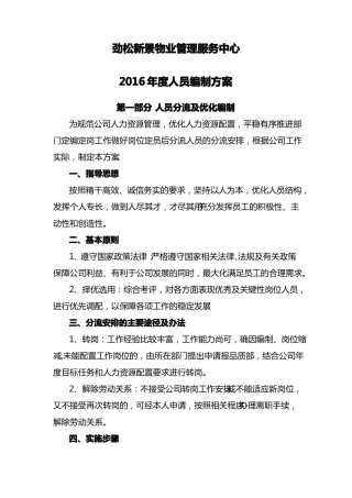 人员编制优化方案