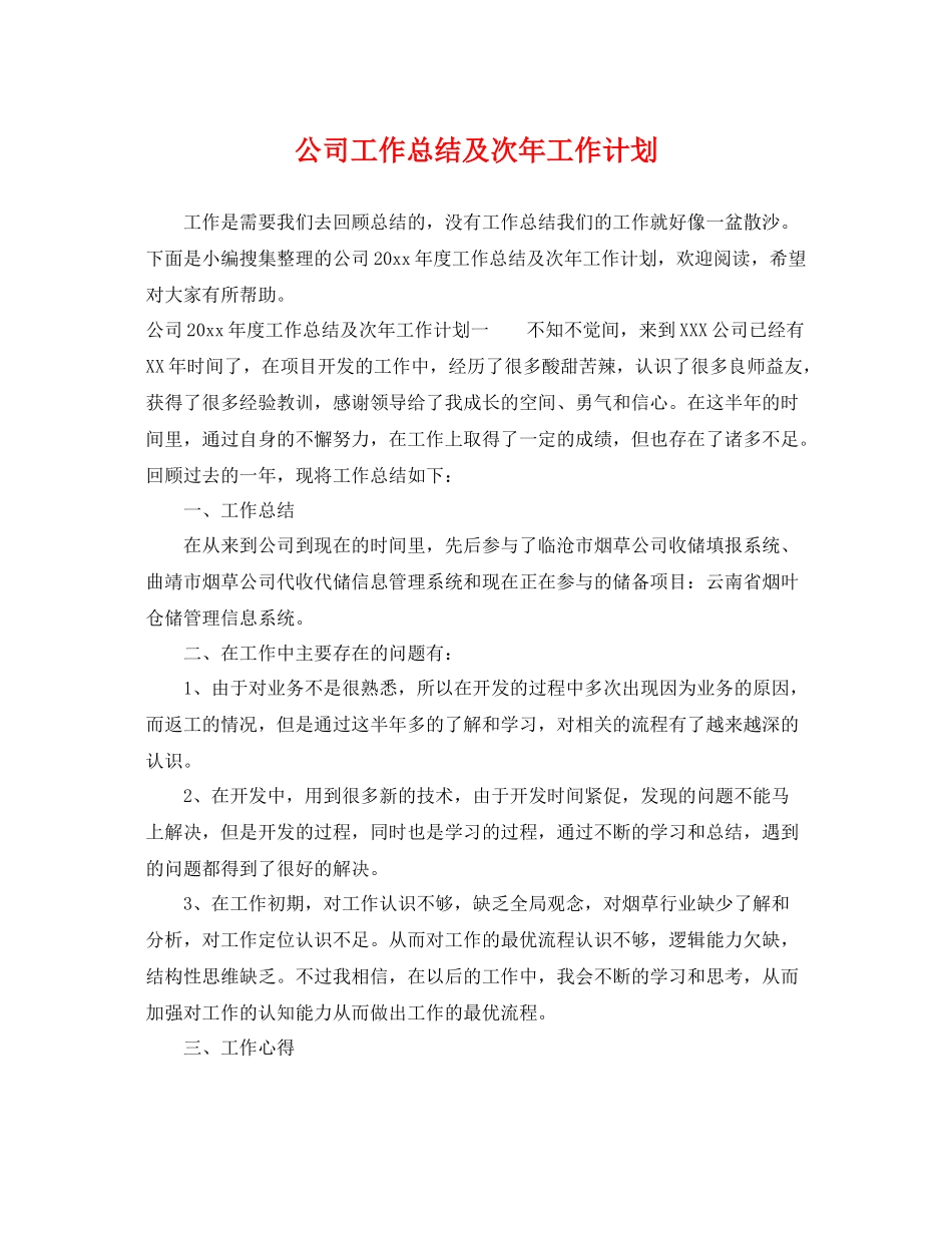 公司工作总结及次年工作计划 _第1页