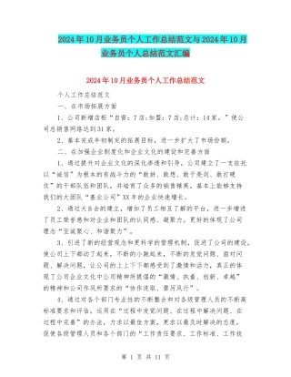 2024年10月业务员个人工作总结范文与2024年10月业务员个人总结范文汇编