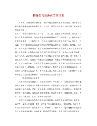 担保公司业务员工作计划 