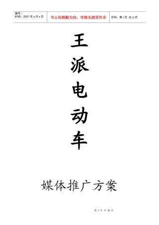 王牌电动车投放方案