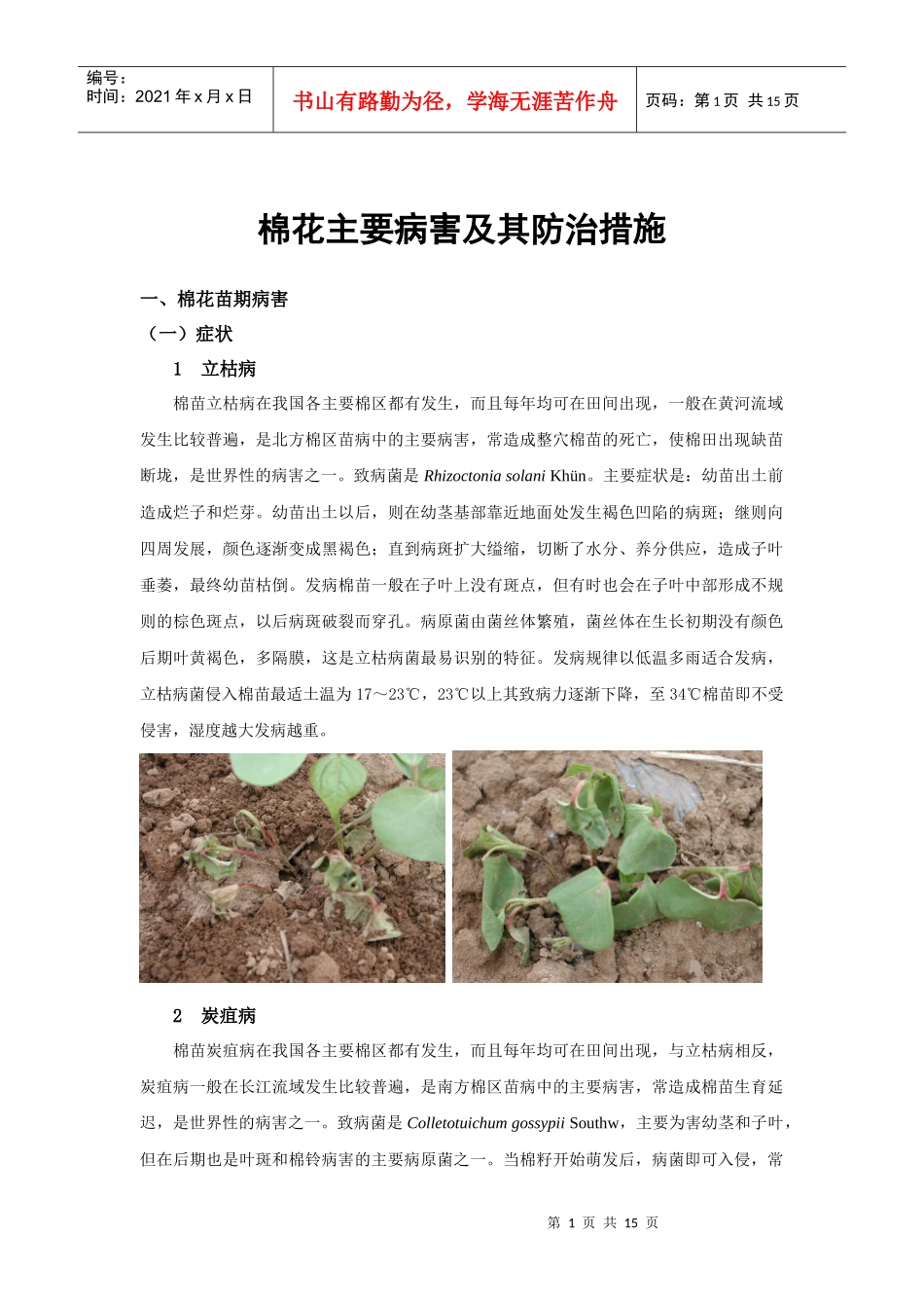 棉花主要病害及其防治措施_第1页