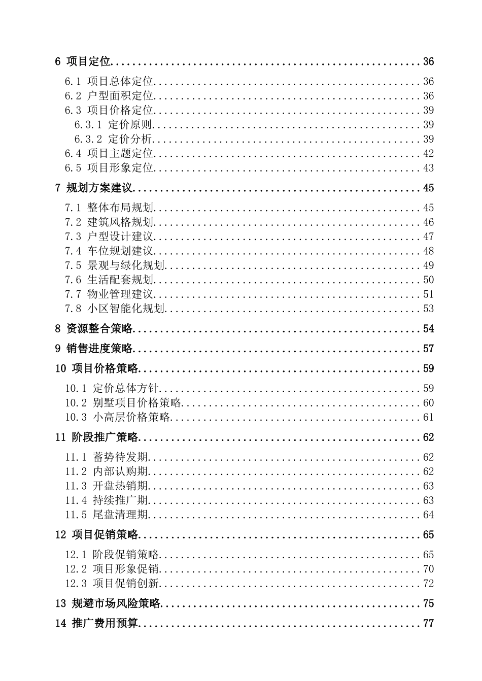 某知名地产项目总体策划报告_第2页