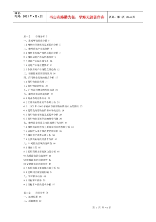 柳州一商业地产项目策划报告