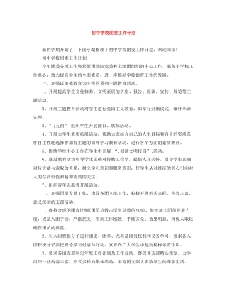 初校团委工作计划 