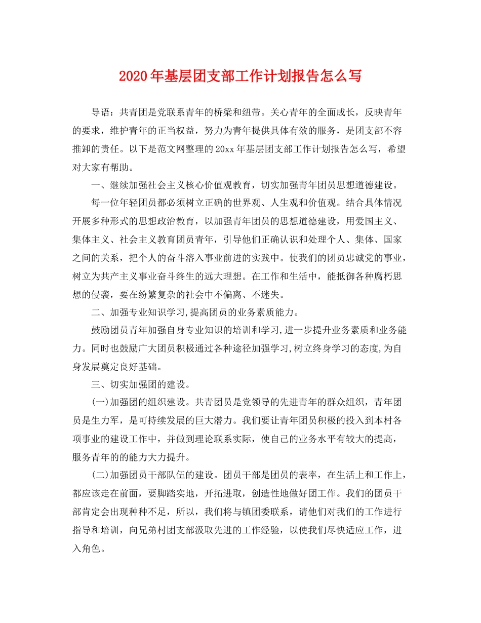 2020年基层团支部工作计划报告怎么写 _第1页