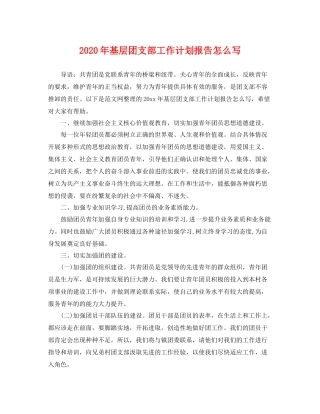 2020年基层团支部工作计划报告怎么写 