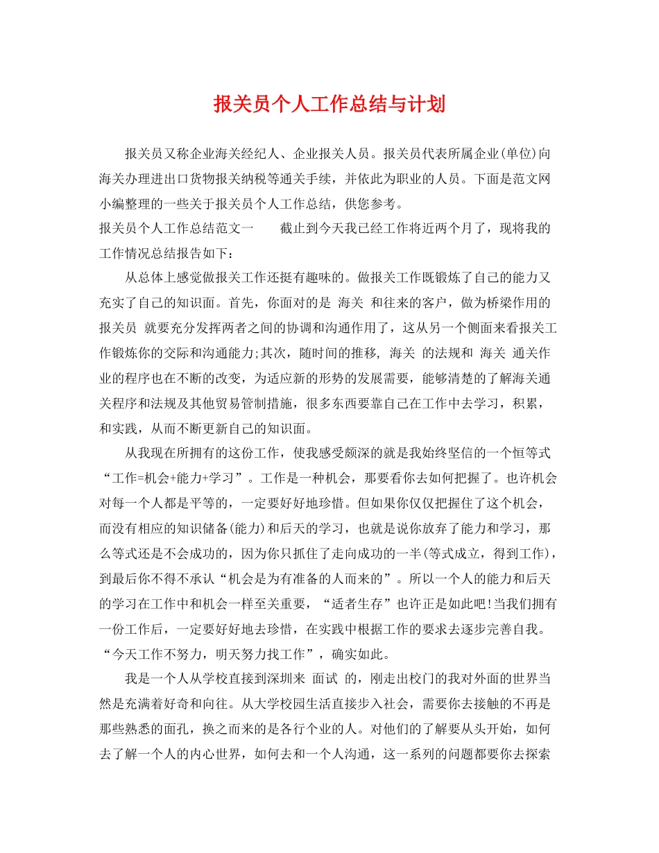 报关员个人工作总结与计划 _第1页