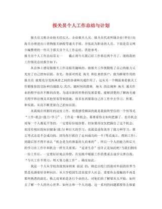报关员个人工作总结与计划 