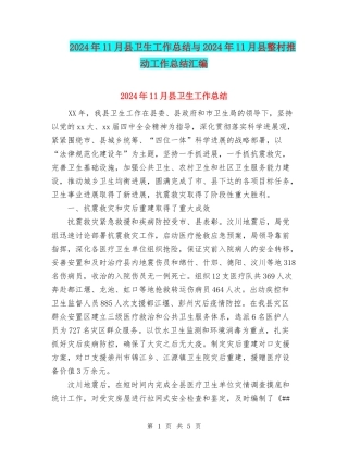 2024年11月县卫生工作总结与2024年11月县整村推进工作总结汇编