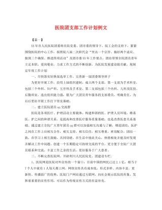 医院团支部工作计划例文 