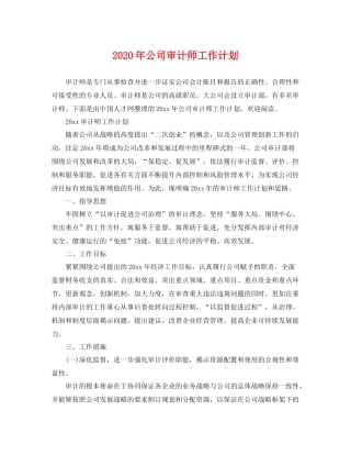 2020年公司审计师工作计划 