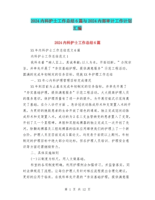 2024内科护士工作总结6篇与2024内部审计工作计划汇编