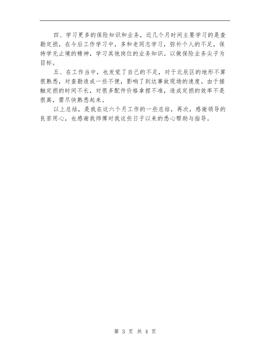 车险业务员工作总结范文_第3页